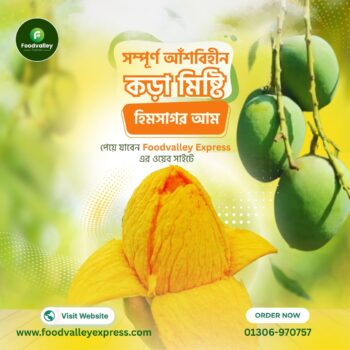 Himsagor mango banner