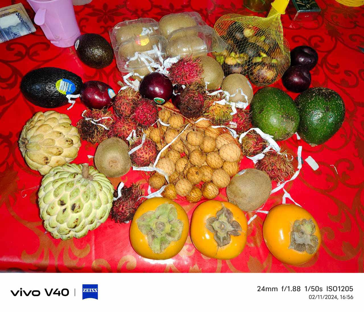 IMG-20250513-WA0061