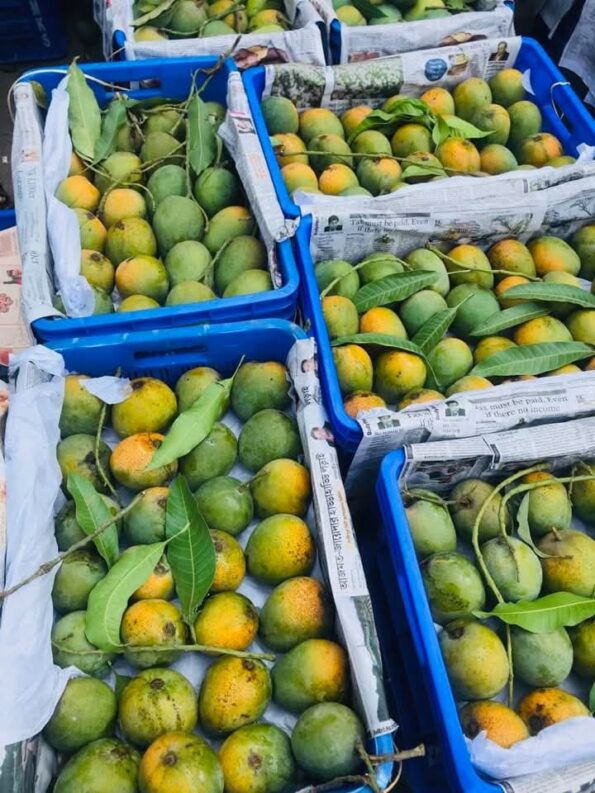 🥭 হিমসাগর আম - Image 6