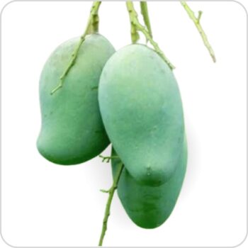 বিখ্যাত আম্রপালি আম - 12kg