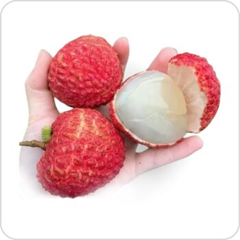China 3 Lychee