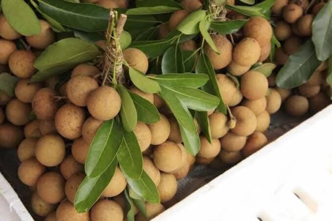 WhatsApp Image 2025-07-01 at 16.38.01_e8460ec7