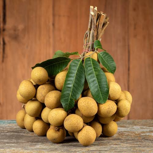 WhatsApp Image 2025-07-01 at 16.44.33_06fefd24