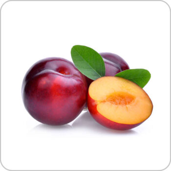 Plum - আলুবোখারা