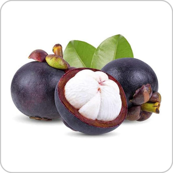 Mangosteen - ম্যাংগোস্টিন