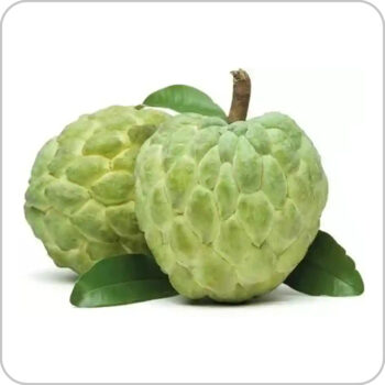 Custard Apple - আতা ফল