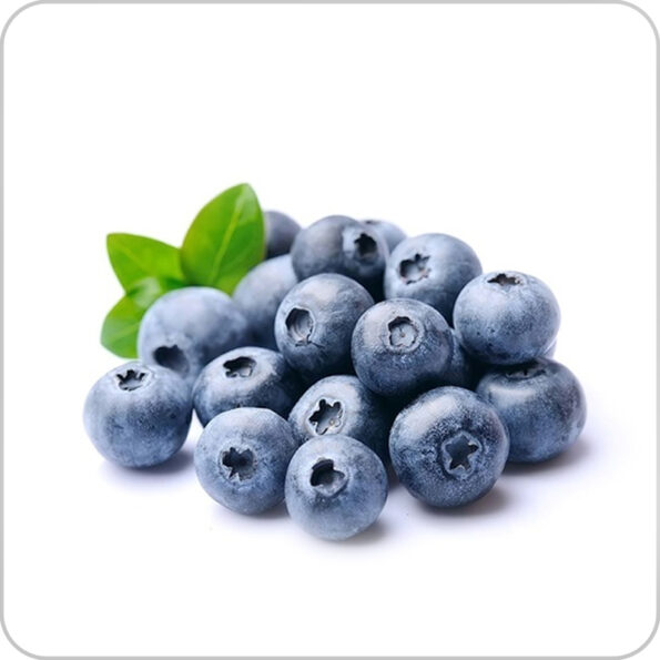 Bluberry - ব্লুবেরী