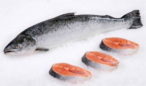 Salmon - স্যালমন - Image 3