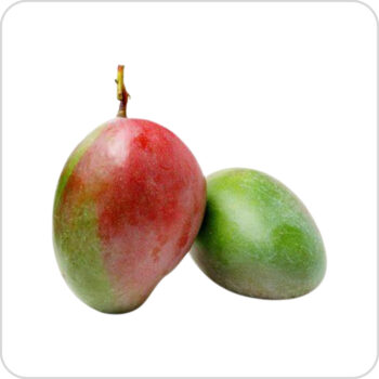 American Keitt Mango - আমেরিকান কেইট আম