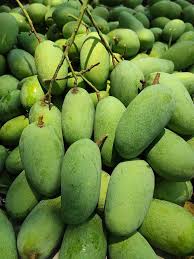 প্রিমিয়াম আম প্যাকেজিং