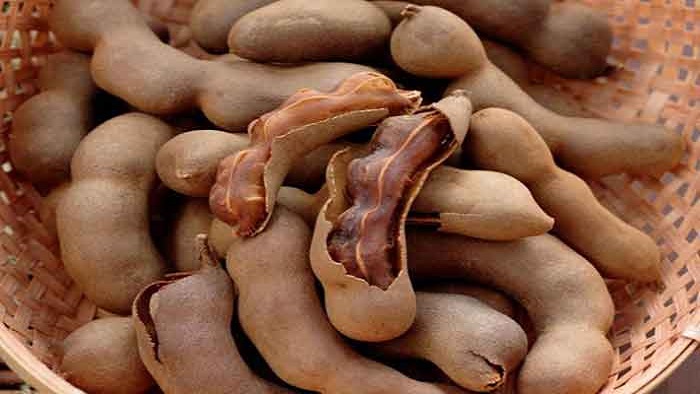 থাই স্পেশাল মিষ্টি তেঁতুল - Image 5