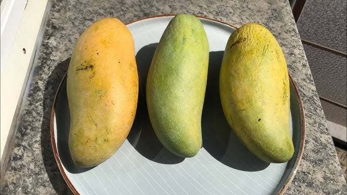 থাই জাম্বো ম্যাংগো - Thai Jambo Mango - Image 6