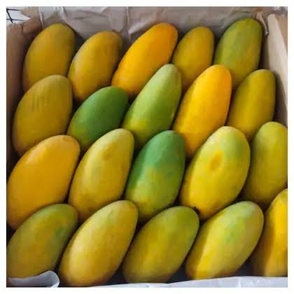 থাই জাম্বো ম্যাংগো - Thai Jambo Mango - Image 10