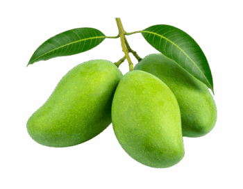 কাঁচা টক আম - Raw Sour Mango
