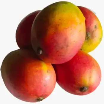 গোলাপখাস আম - Golapkhas Mango