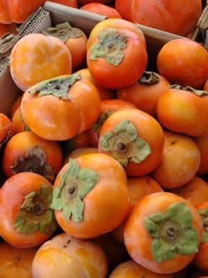 WhatsApp Image 2025-09-21 at 05.17.46_7b2c91d6