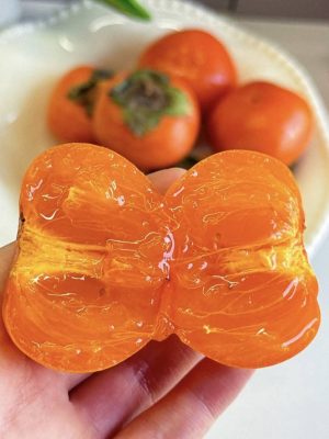 WhatsApp Image 2025-09-21 at 05.17.46_8ae26179