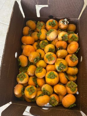 WhatsApp Image 2025-09-21 at 05.17.51_ebeae787