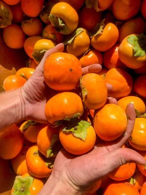 WhatsApp Image 2025-09-21 at 05.17.58_151cf481