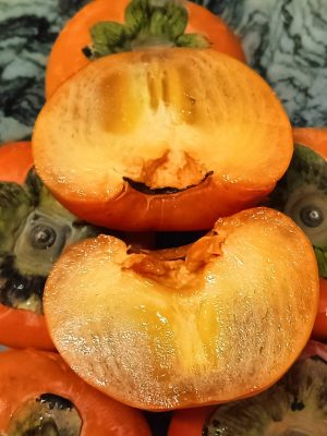 WhatsApp Image 2025-09-21 at 05.17.58_75a90683