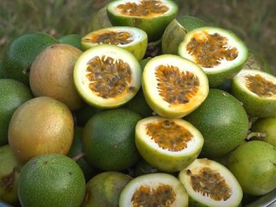 WhatsApp Image 2025-11-08 at 05.51.32_a264c019