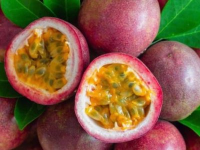 WhatsApp Image 2025-11-08 at 05.51.35_a8601724