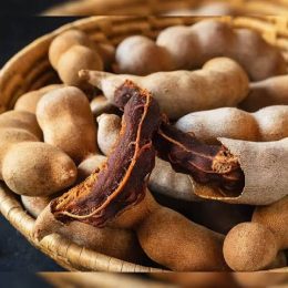 WhatsApp Image 2025-12-23 at 12.54.31 AM (1)