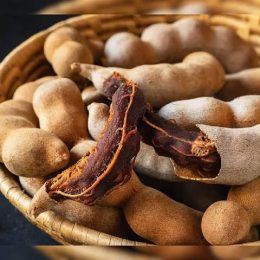 WhatsApp Image 2025-12-23 at 12.54.31 AM (1)