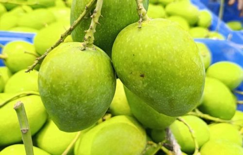 WhatsApp Image 2026-04-04 at 11.17.08 PM