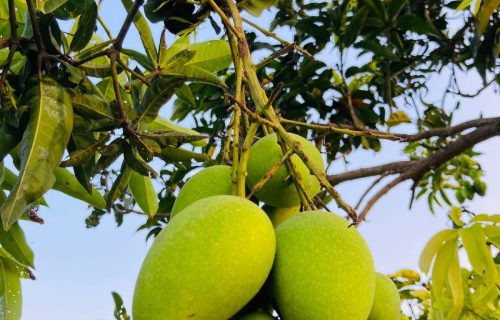 WhatsApp Image 2026-04-04 at 11.17.11 PM