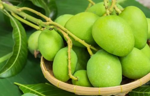 WhatsApp Image 2026-04-04 at 11.21.35 PM (1)