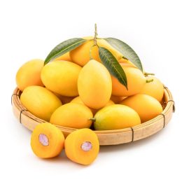 inbound995101661261316560